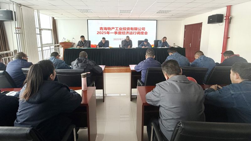 物產工投公司召開2025年第一季度經濟運行調度會
